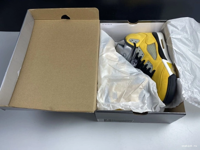Chep Onekick T23 5 Retro Air Tokyo Jordan 454783-701 0703